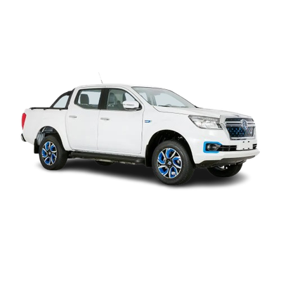 Dongfeng Rich 6 RWD (2024)